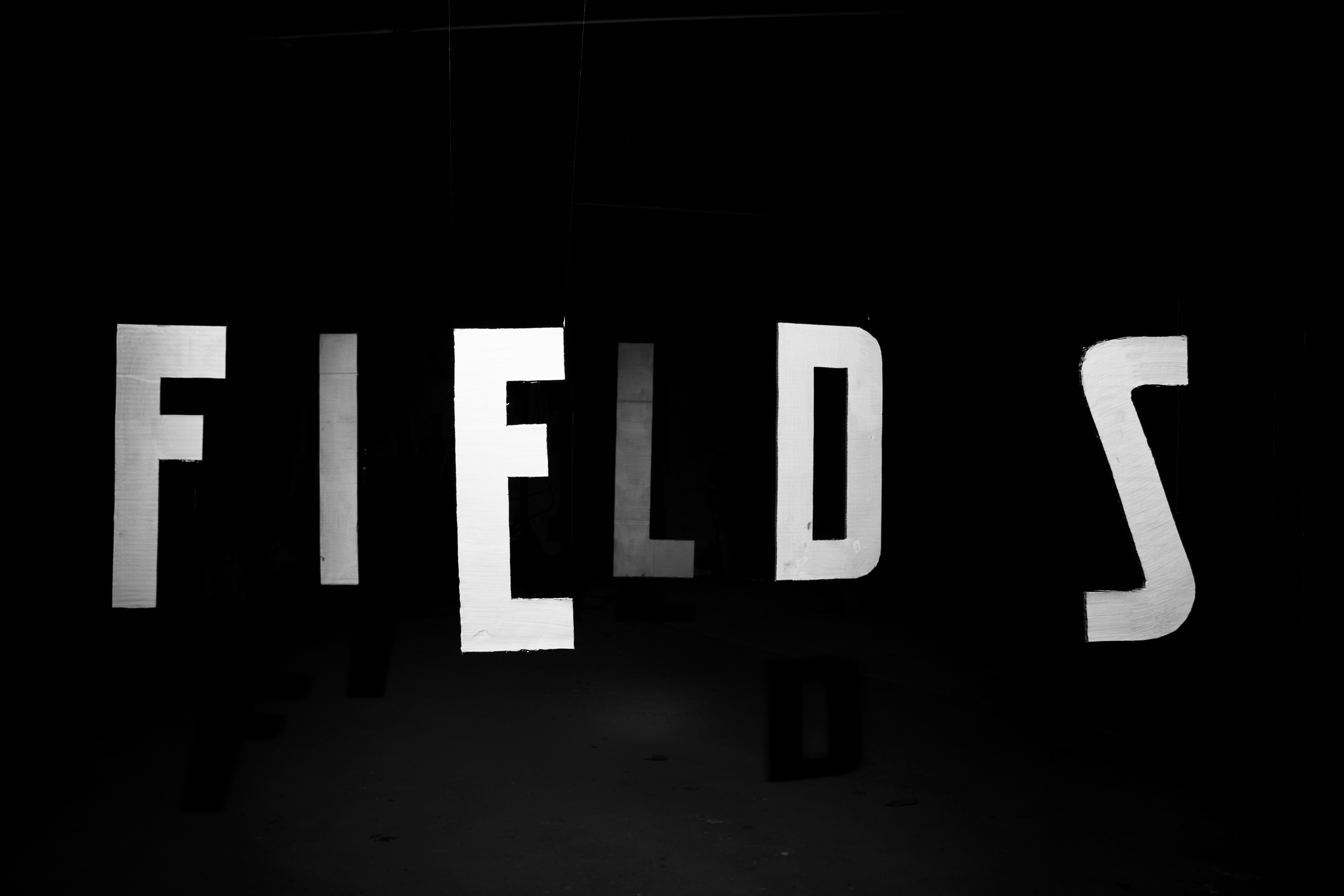 Black and white photo of Narcotic Fields logo