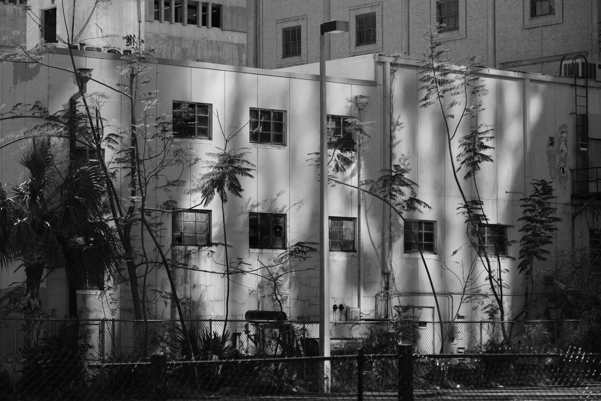 Black and white photo of Orlando streets